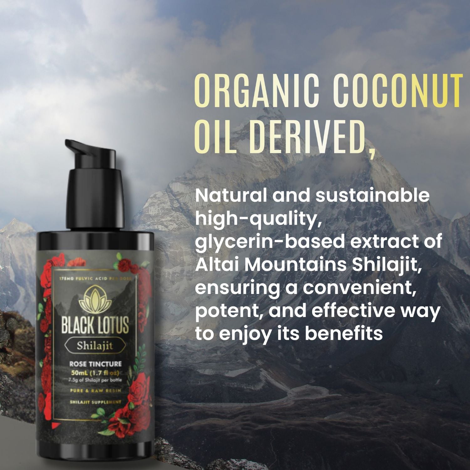 Rose Shilajit Tincture