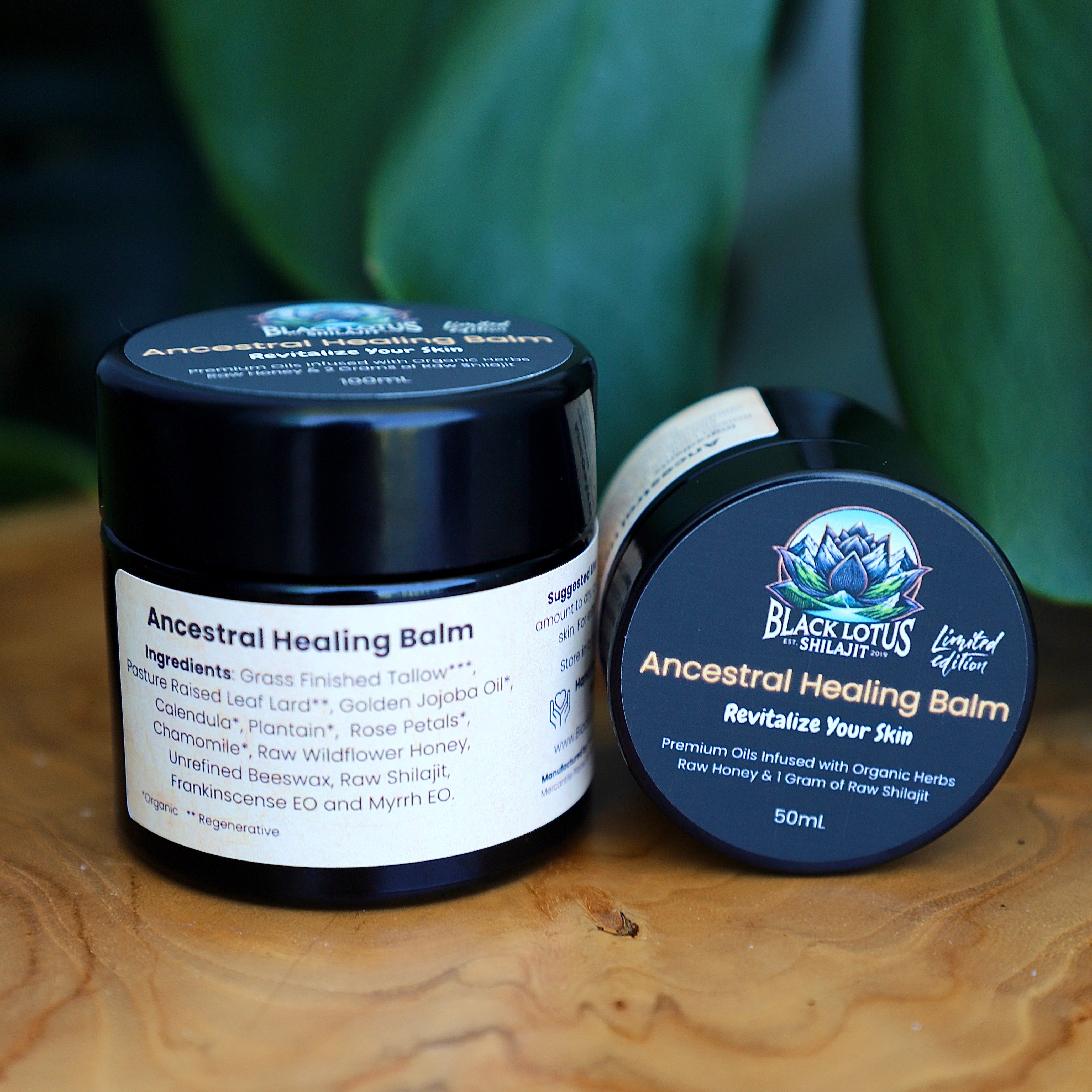 Ancestral Healing Balm - Herbal Shilajit Salve