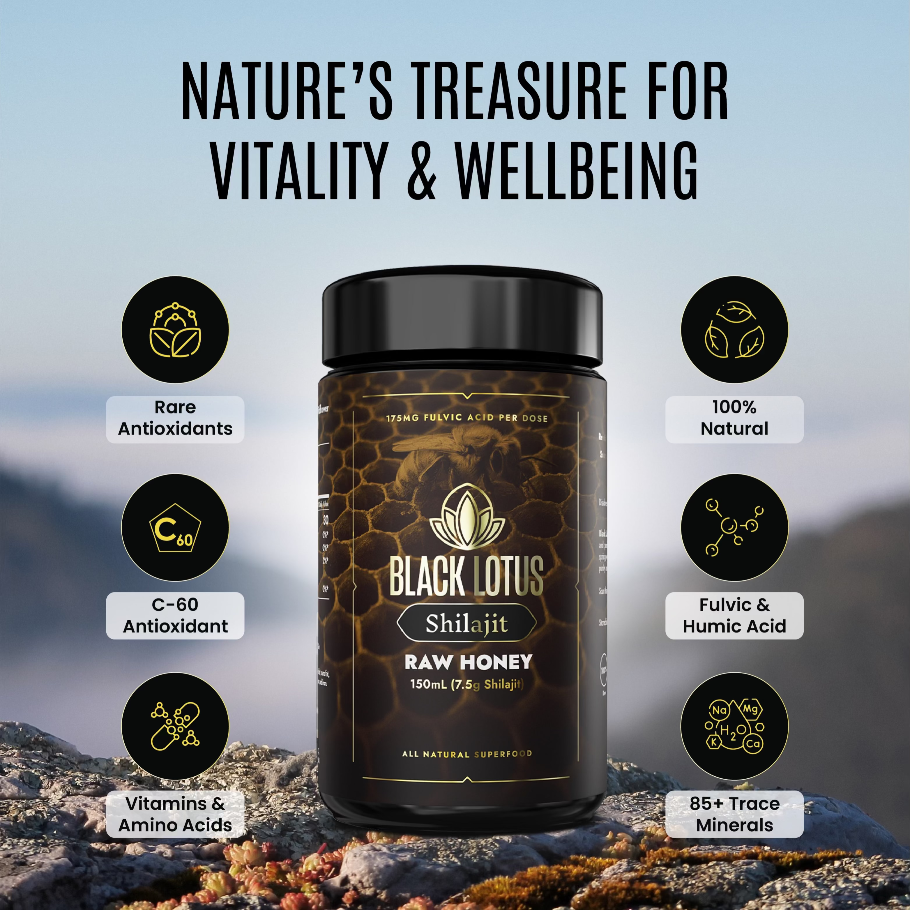 Pure Shilajit Honey