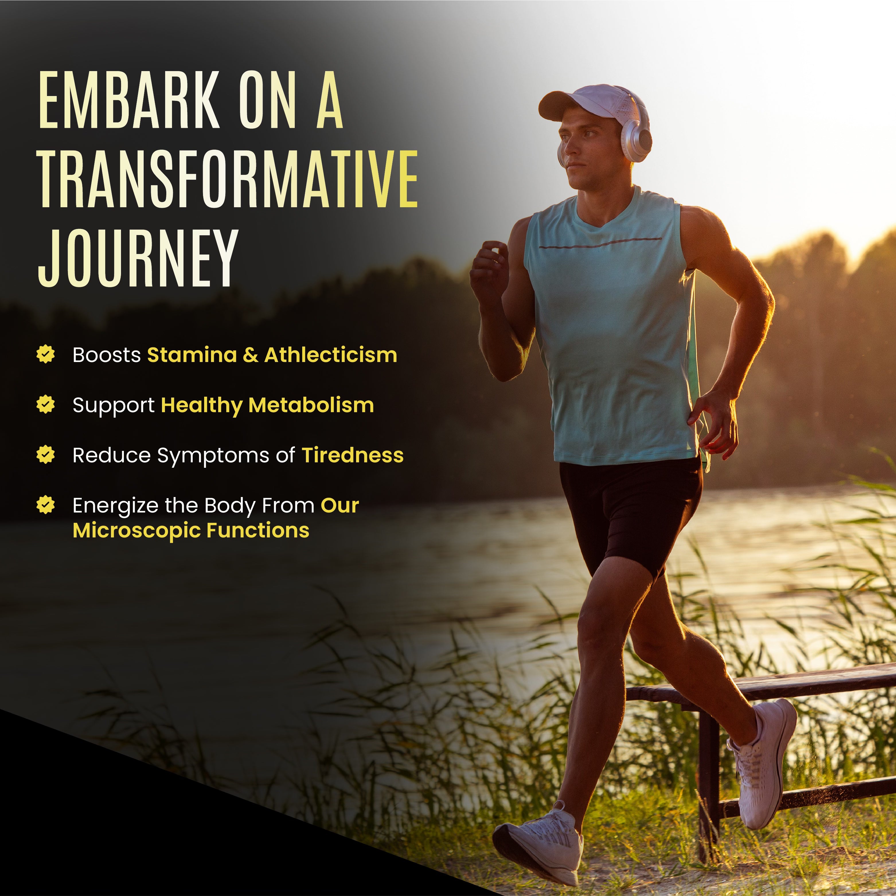 Pure Shilajit Tablets