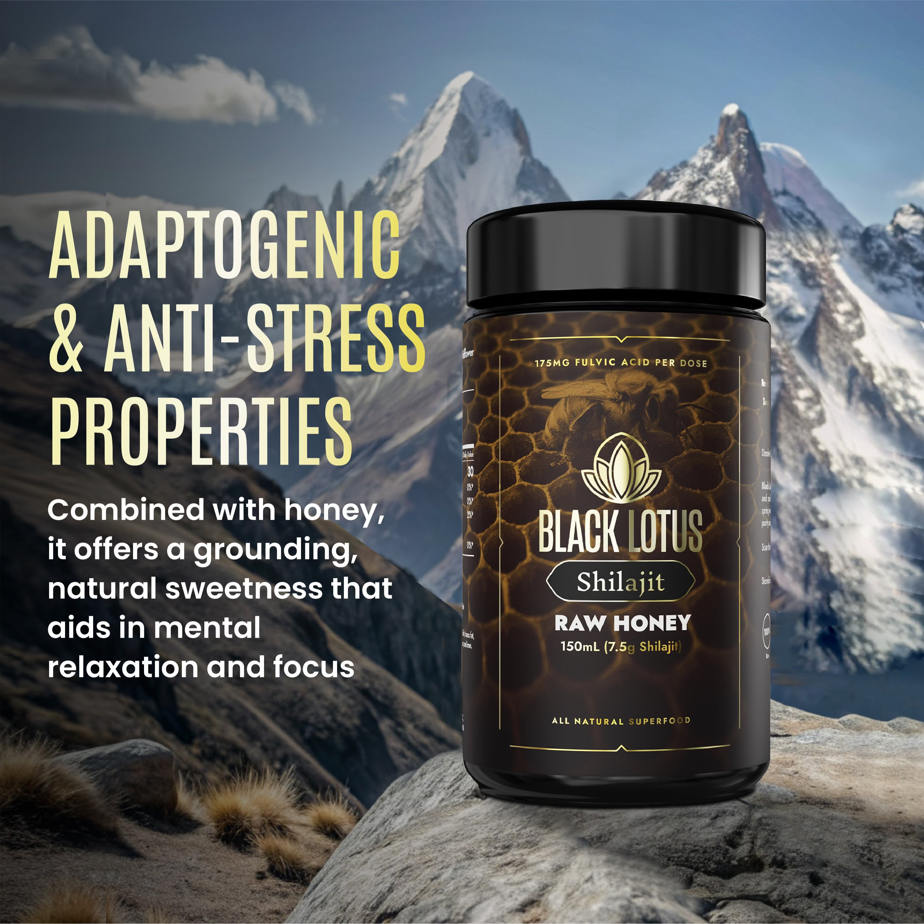 Pure Shilajit Honey