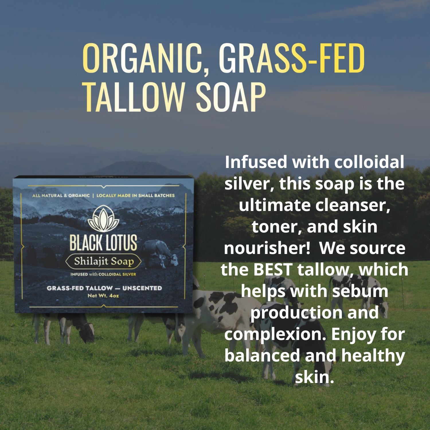 Pure Shilajit Grass-fed Tallow Soap: Unscented, Mountain Rose, or Mountain Scent