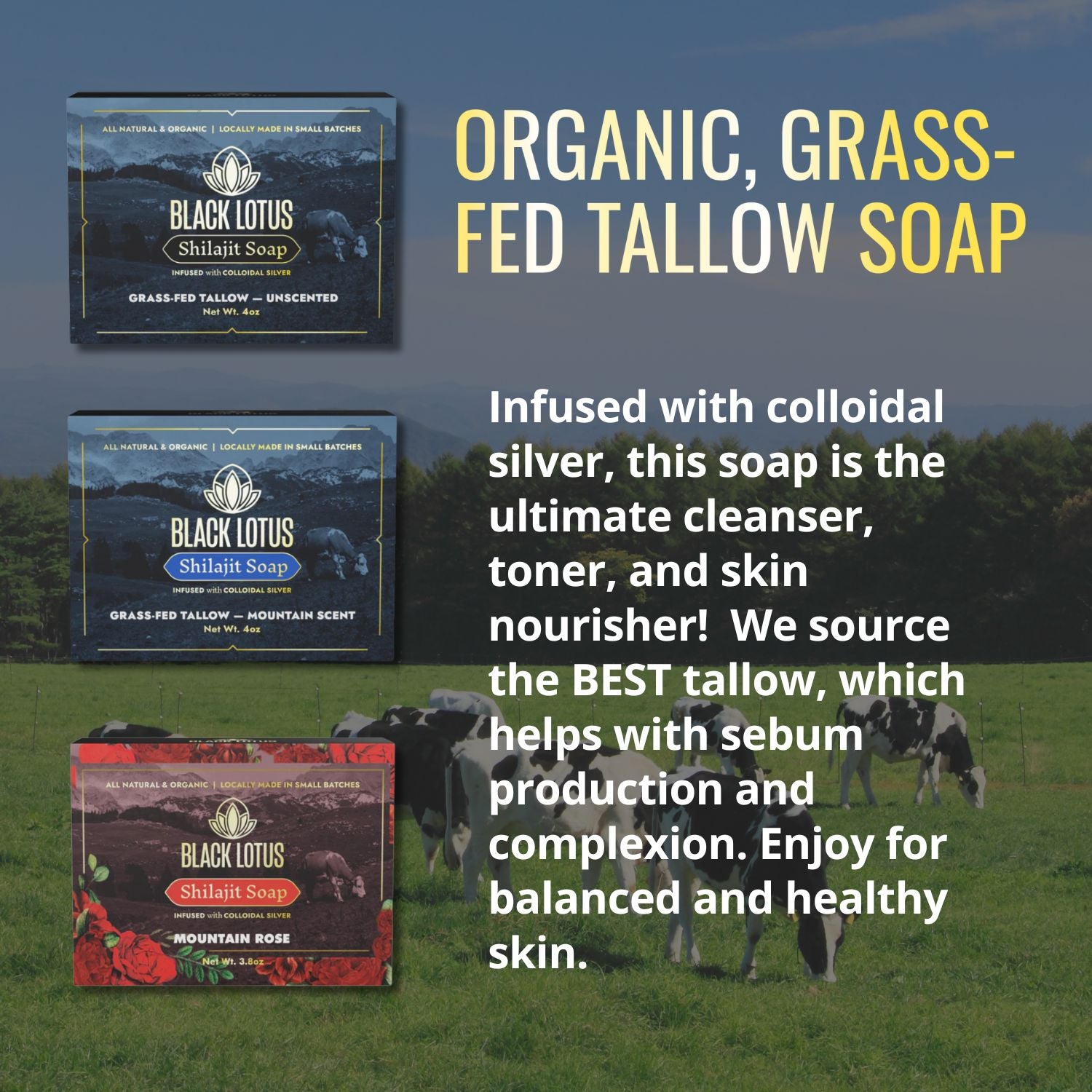 Pure Shilajit Grass-fed Tallow Soap: Unscented, Mountain Rose, or Mountain Scent