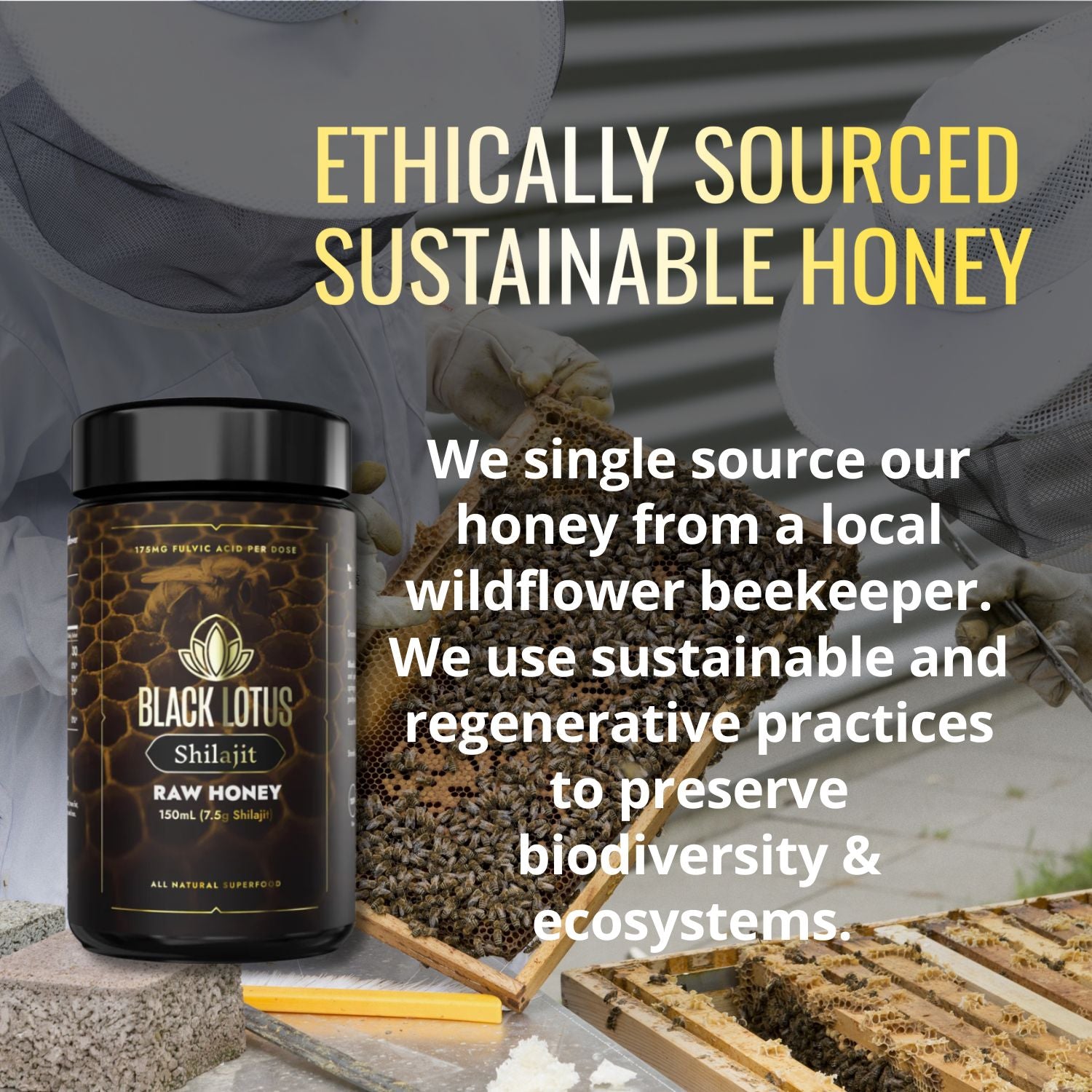 Pure Shilajit Honey