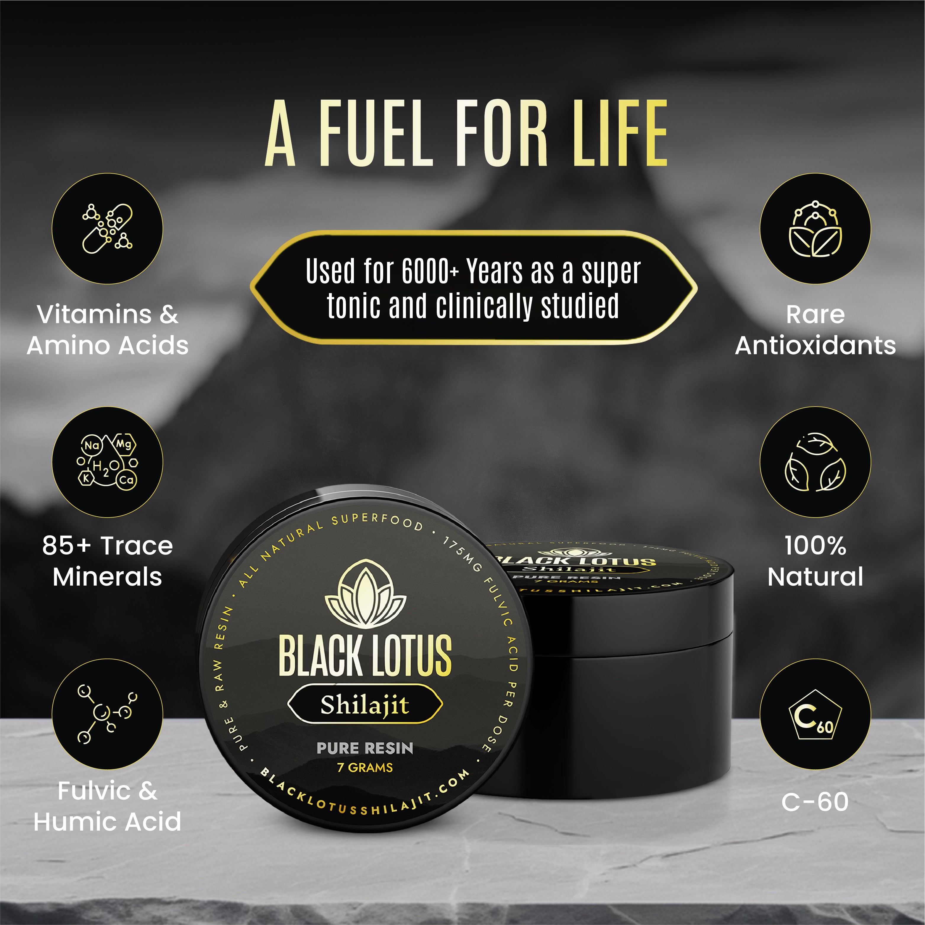 Pure Shilajit Resin